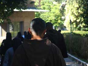 Asis 2